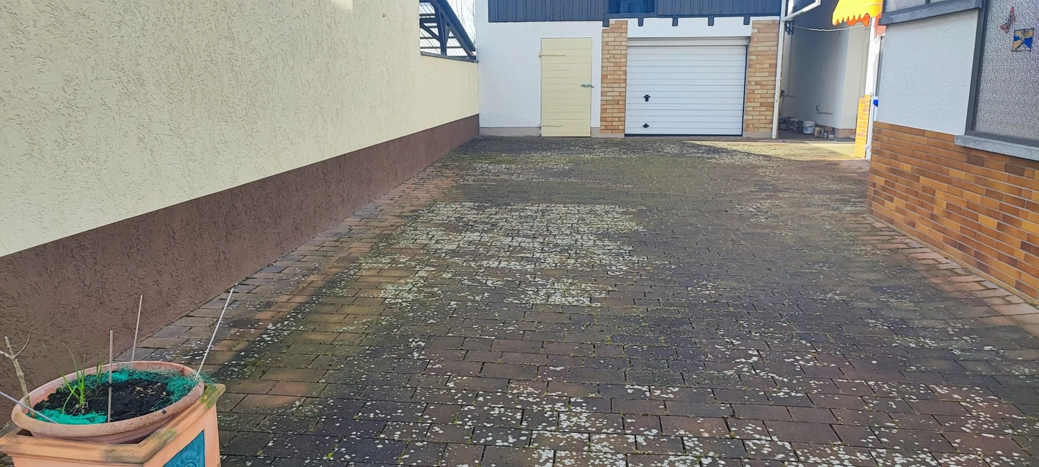 Zois Gartengestaltung - Professionelle Reinigung