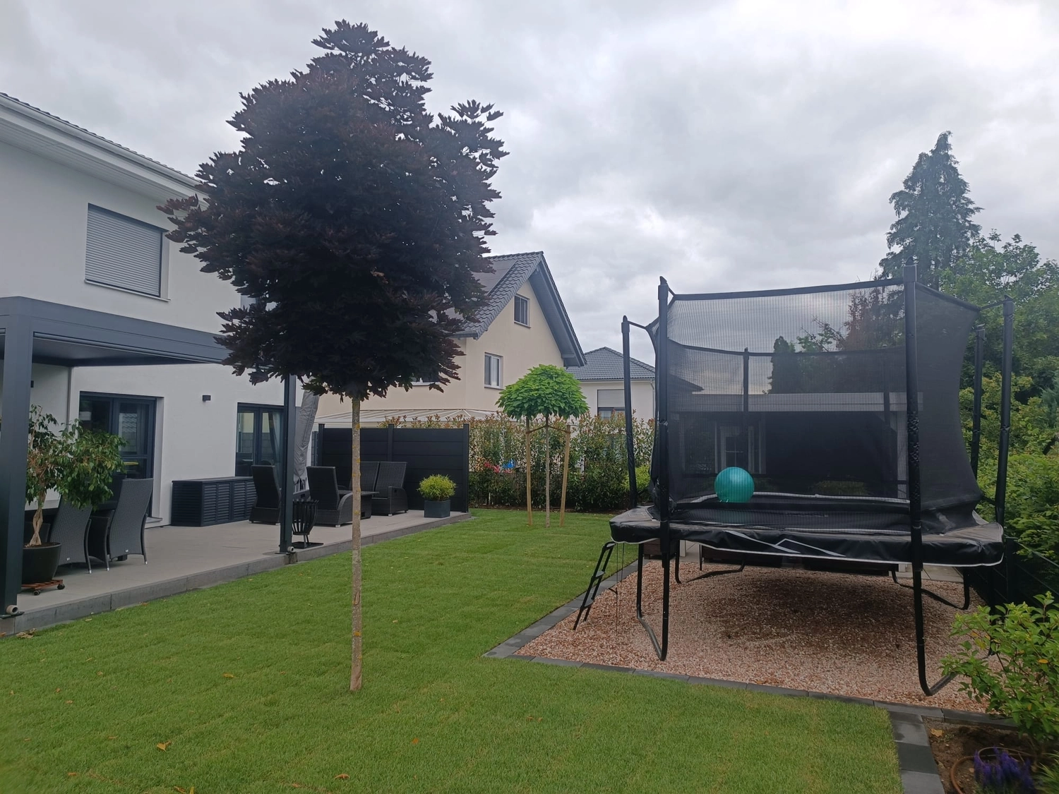 Zois Gartengestaltung - Bepflanzung & Rollrasen