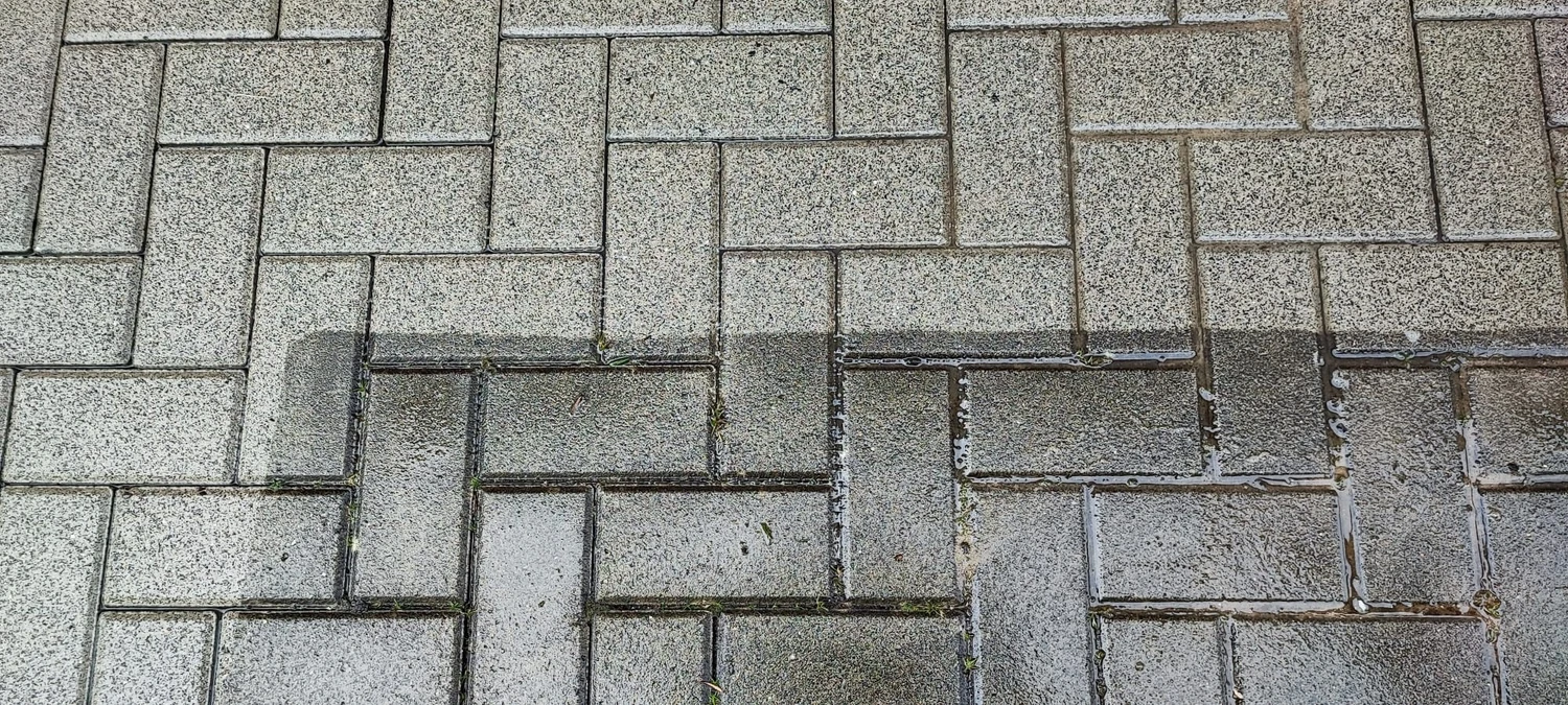 Zois Gartengestaltung - Professionelle Reinigung