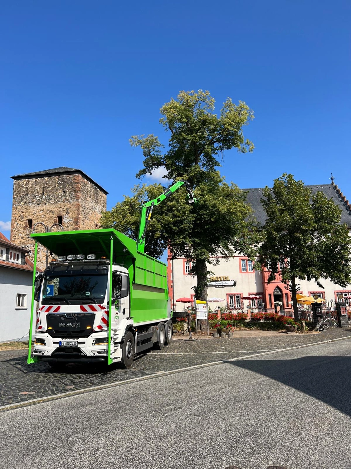 Zois Gartengestaltung - Baumfällarbeiten