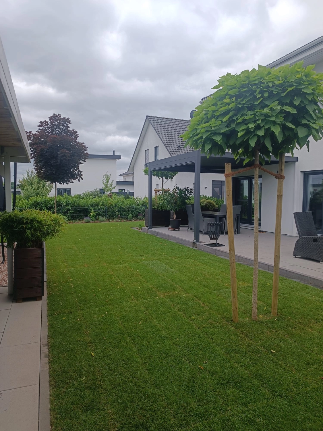 Zois Gartengestaltung - Bepflanzung & Rollrasen