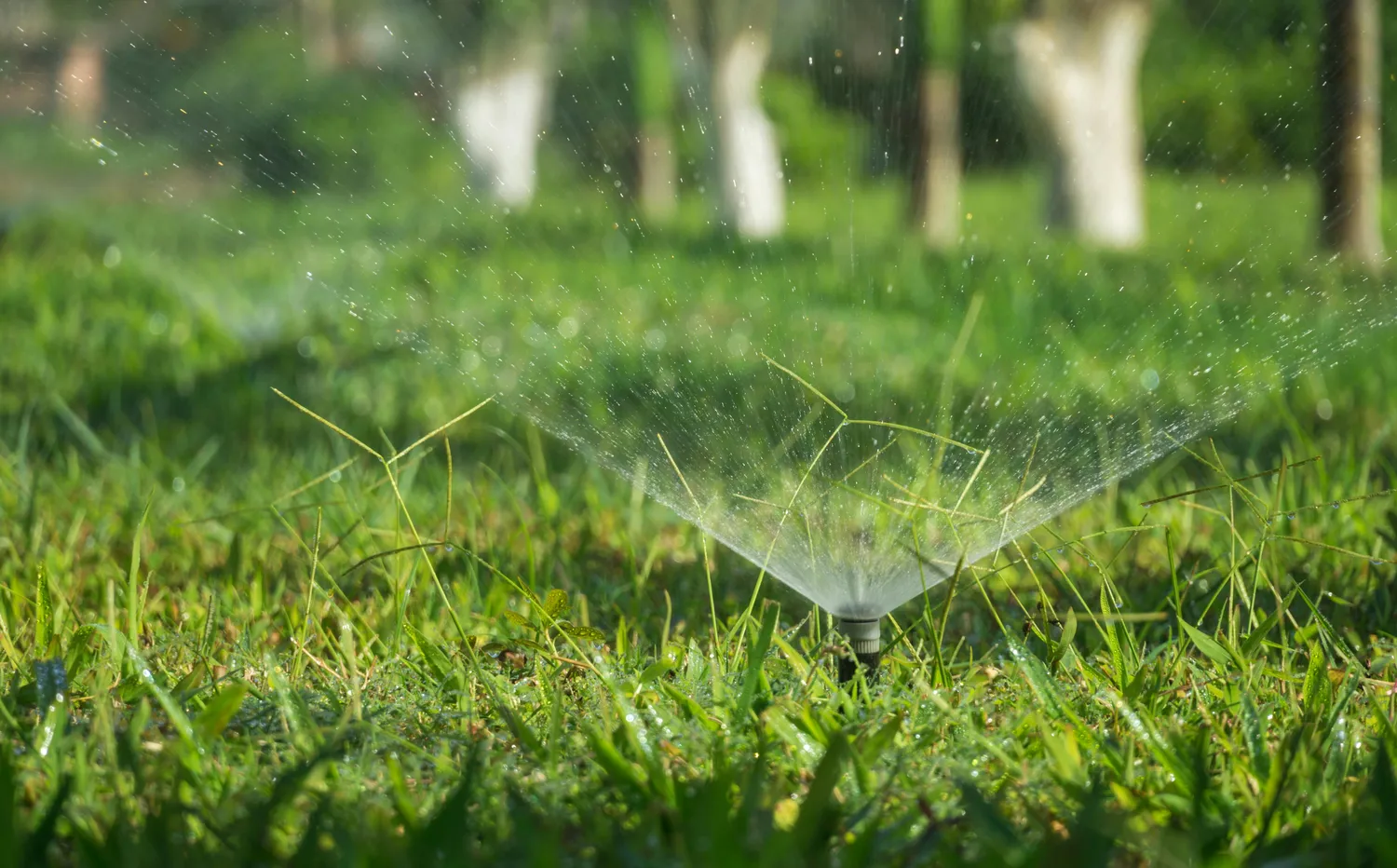 Zois Gartengestaltung - Bewässerung